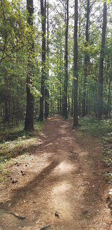 Lafayette Heritage Trail Park